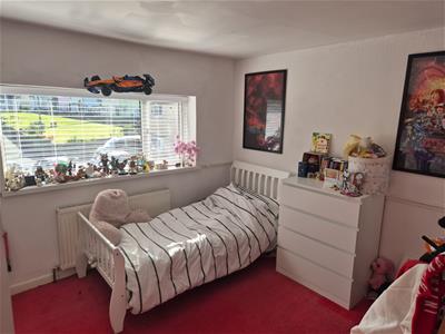 Picture 11